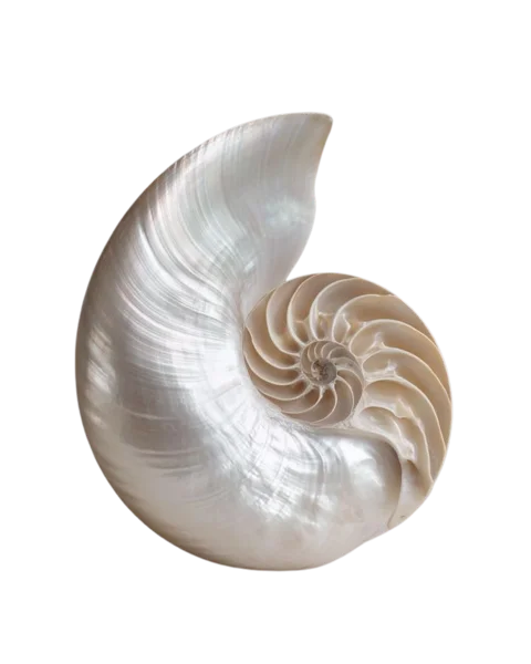 Crystal art representing the Initiates Temple program